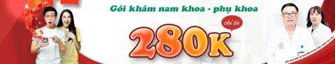 banner top desktop